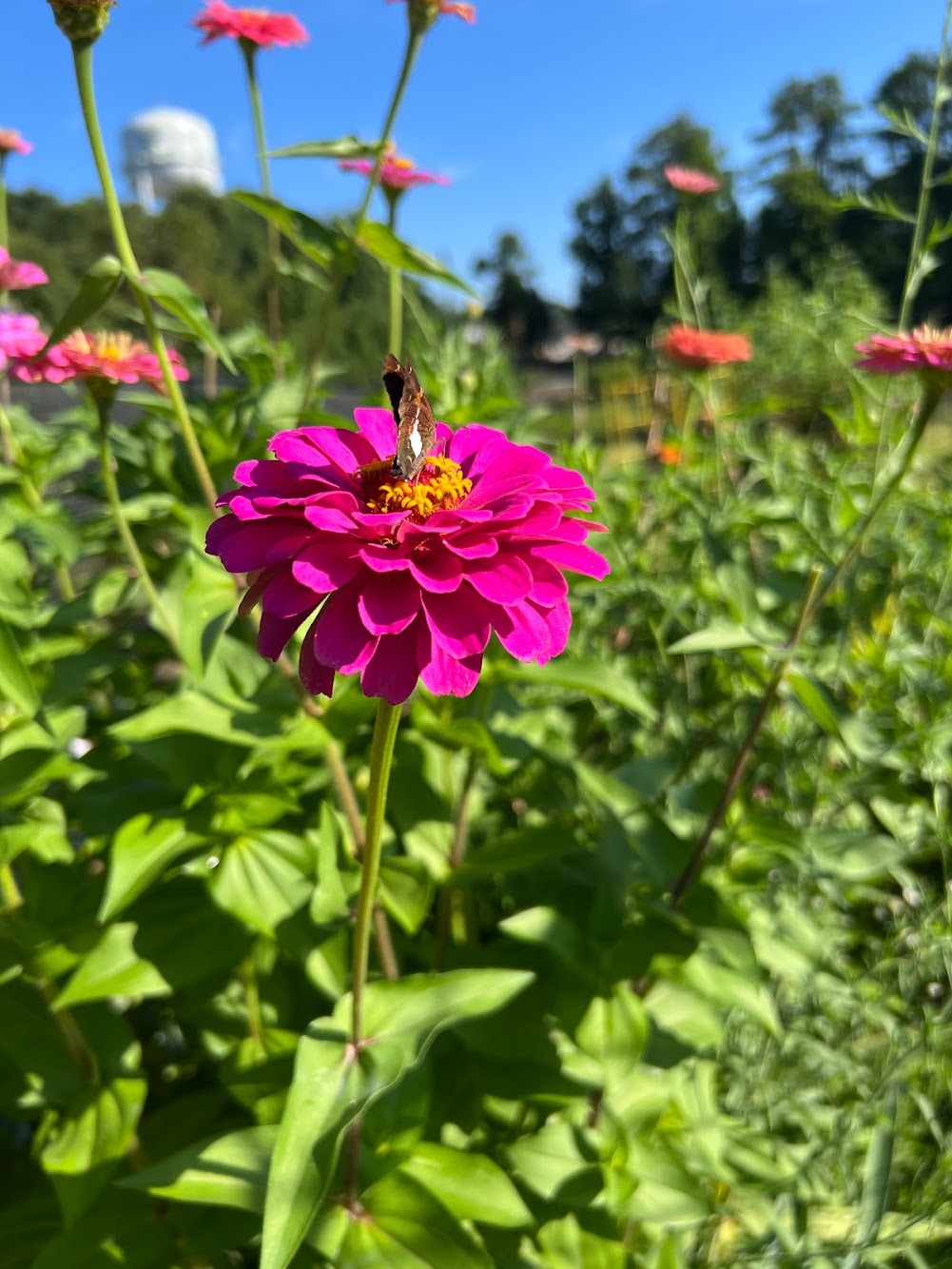 Therapy session progress documentation